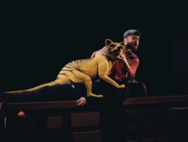 Naar het theater