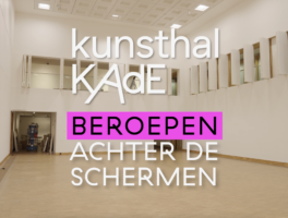 Beroepen achter de schermen