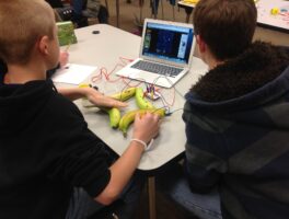 Makey Makey