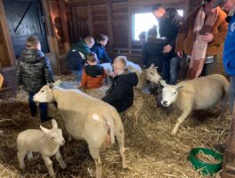 Jonge Dierenles